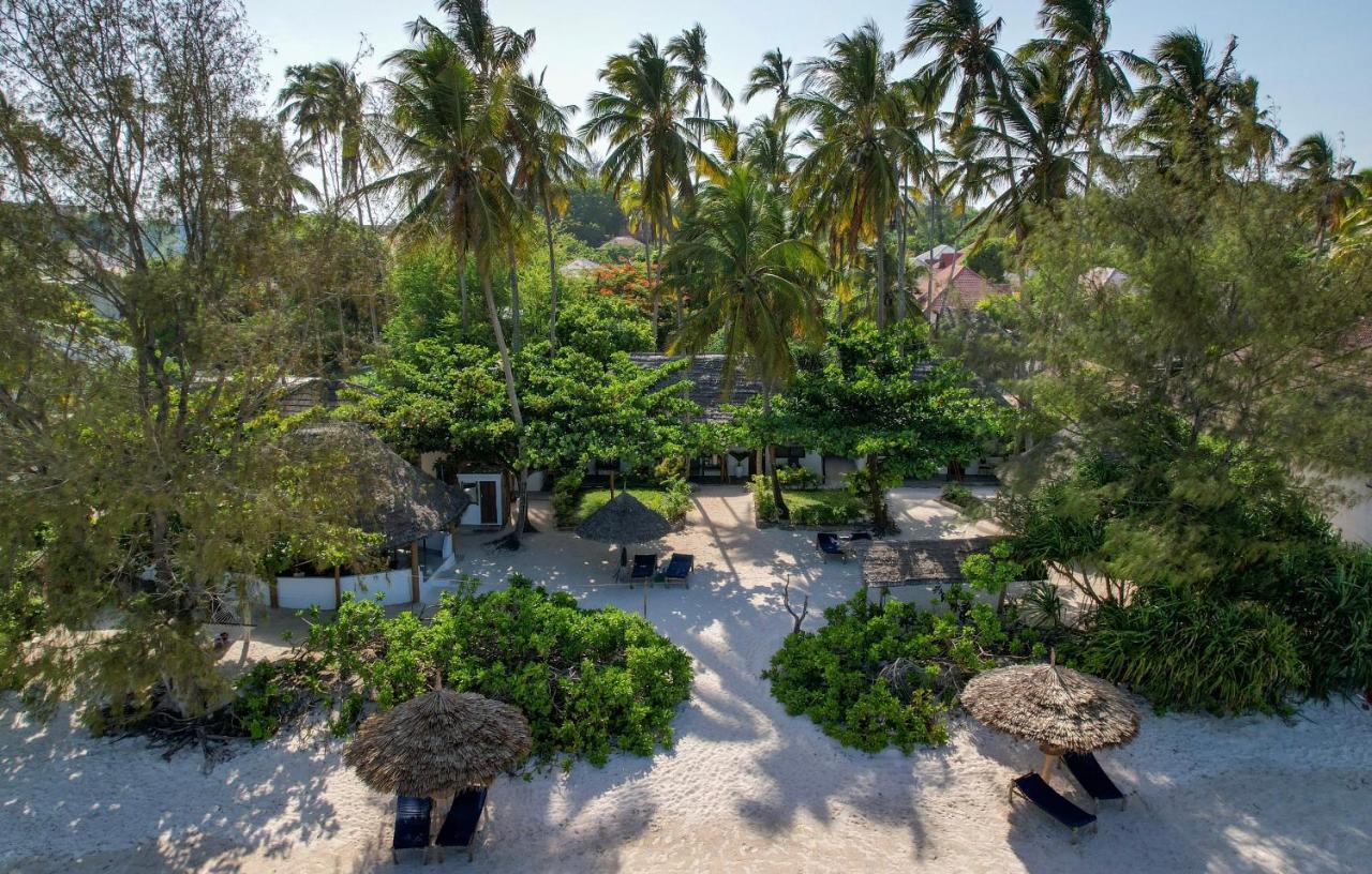 Poa Poa Bungalows Kiwengwa  Eksteriør bilde