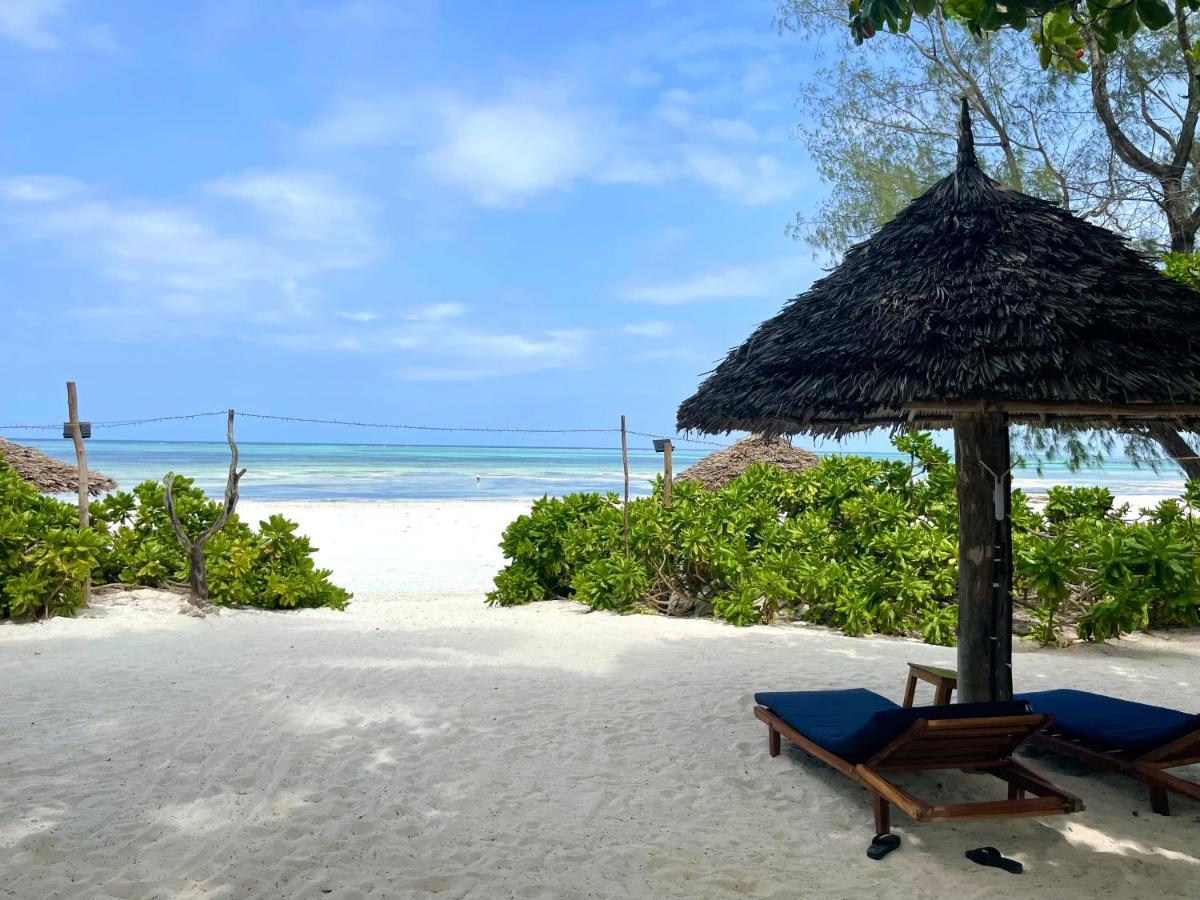 Poa Poa Bungalows Kiwengwa  Eksteriør bilde